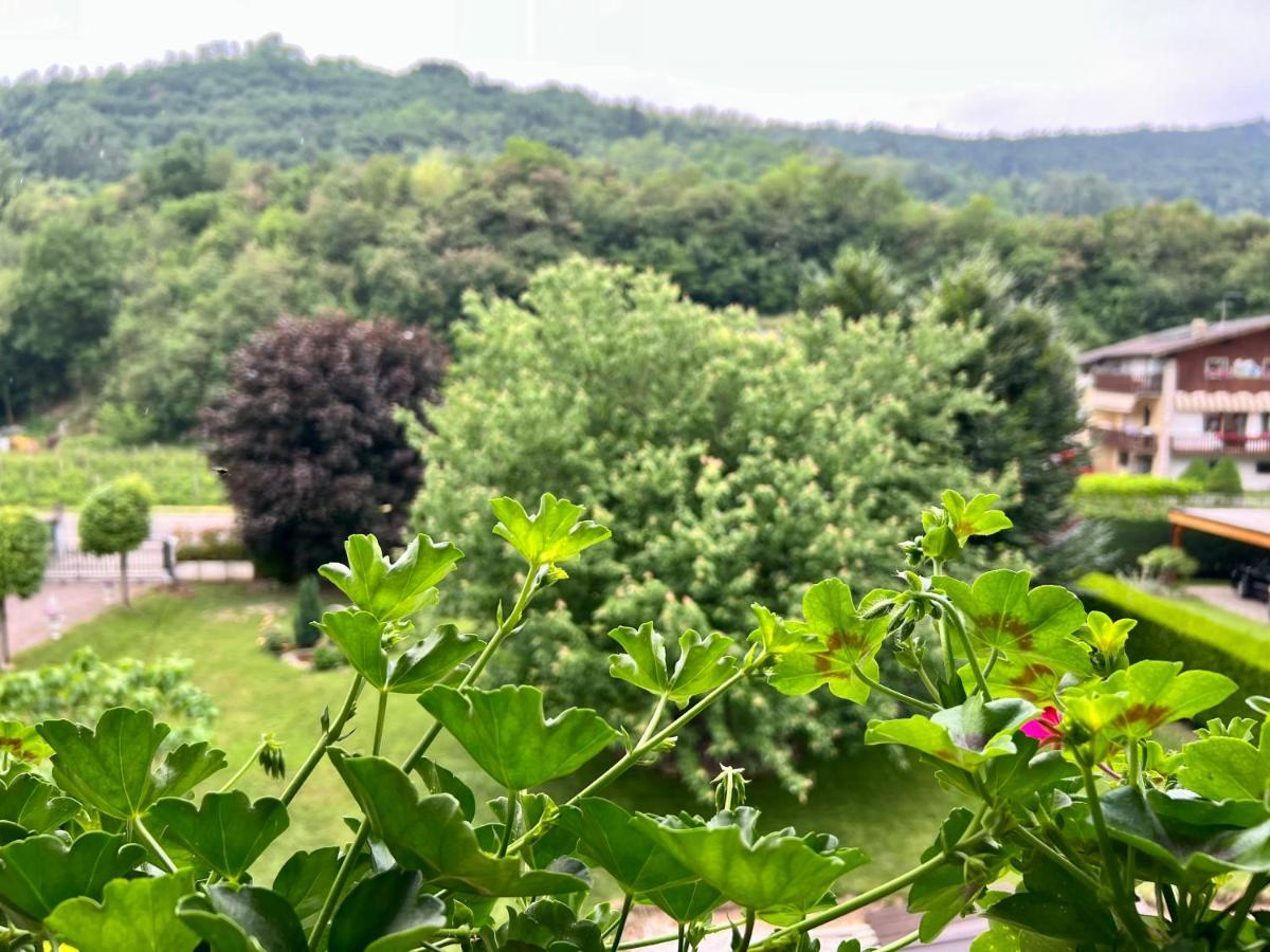 La Finestra Sul Giardino - B&B Cavedine エクステリア 写真