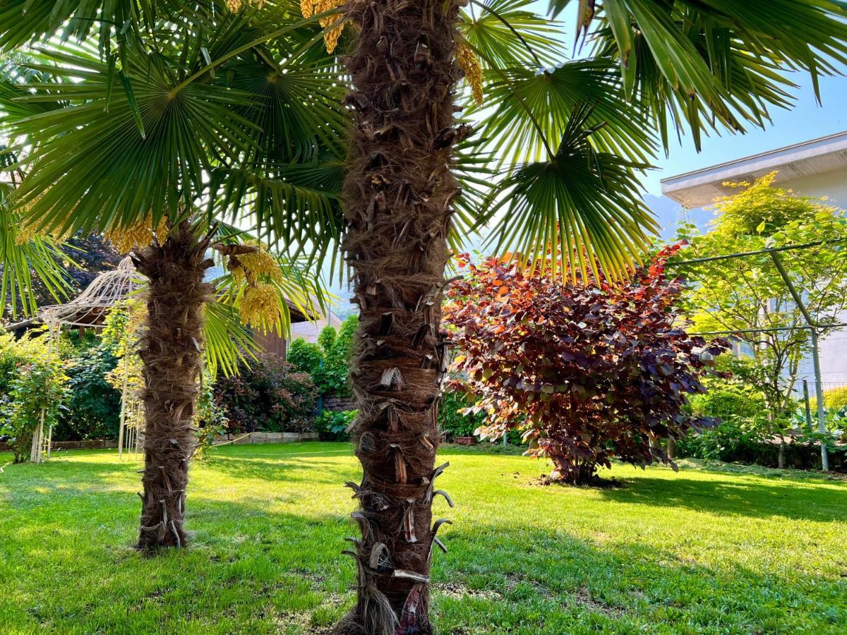 La Finestra Sul Giardino - B&B Cavedine エクステリア 写真
